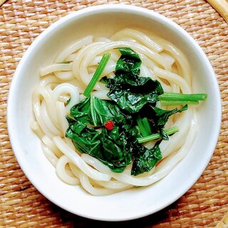 すぐ出来る！ほうれん草のレンジうどん